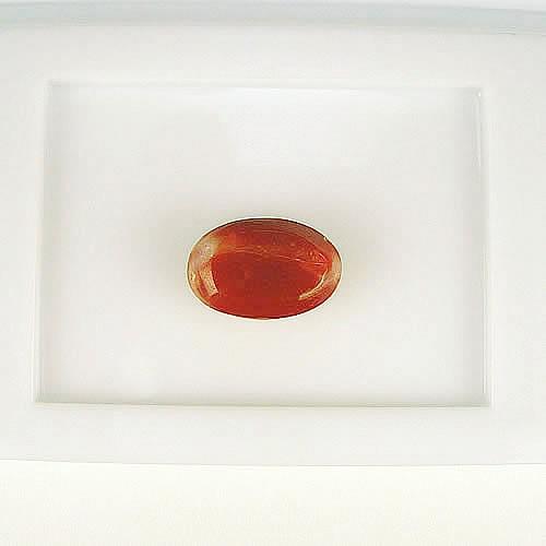 血赤珊瑚 11×7mm 小判 ジュエリールース ad438 : ジュエリーshinwa  