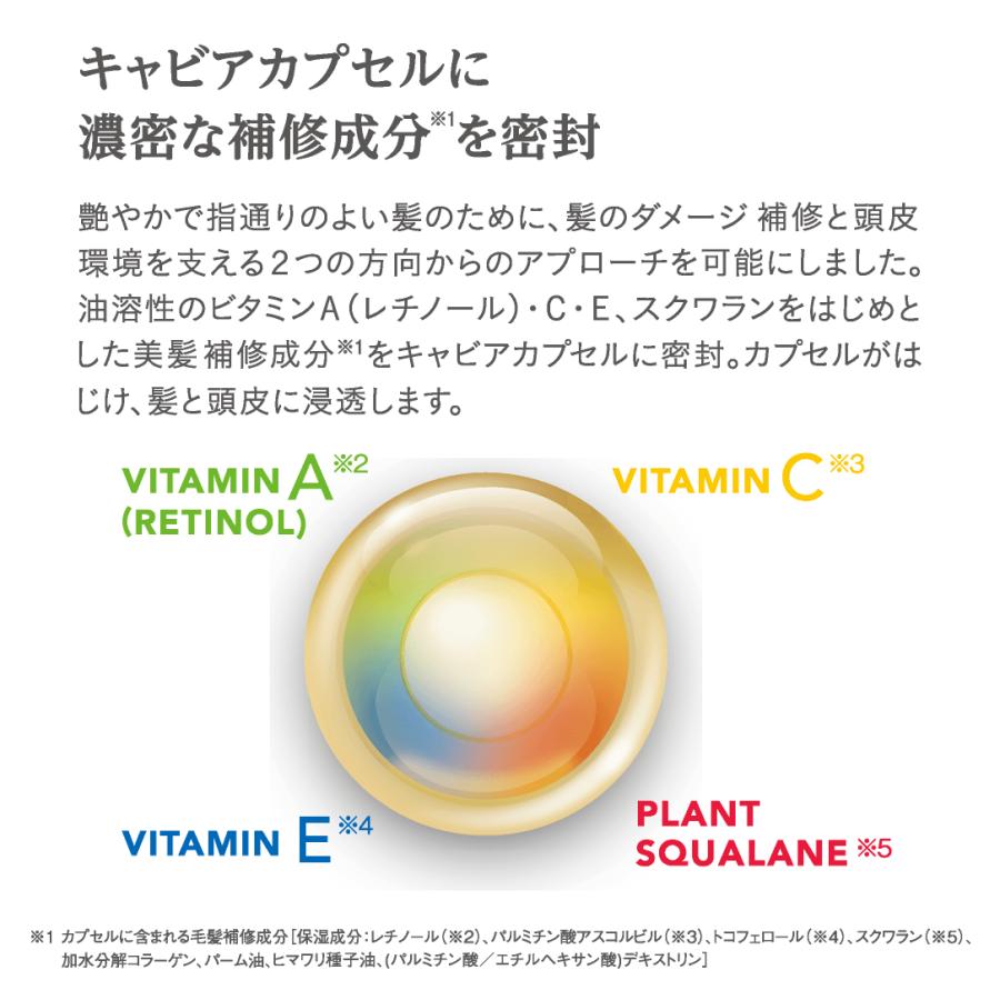 シャンプー & トリートメント 400mL スムース ボトル セット ペアー ＆ フリージアの香り 保湿 潤い サラサラ ヒマワリ種子油 V.C. アミノ酸 / SIRTFL CC｜shinyakoso｜06