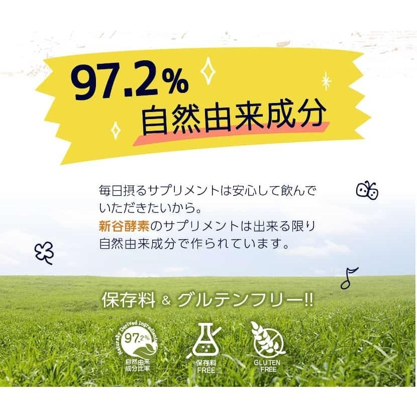 新谷酵素 麹菌 消化酵素 サプリ 発酵 活きている 乳酸菌 ギムネマ 