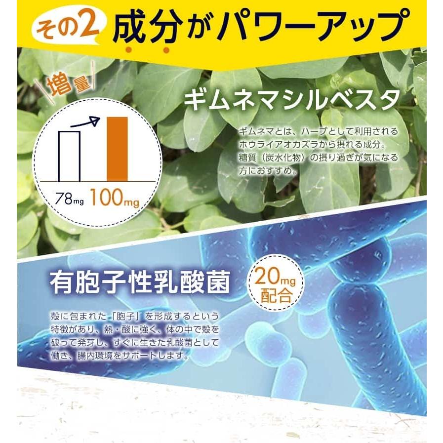 新谷酵素 麹菌 消化酵素 サプリ 発酵 活きている 乳酸菌 ギムネマ