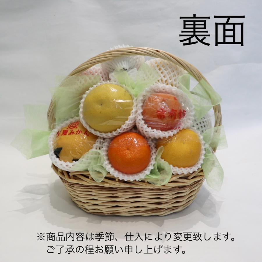 フルーツ フルーツバスケット 果物 ギフト 詰め合わせ かご盛 籠盛り