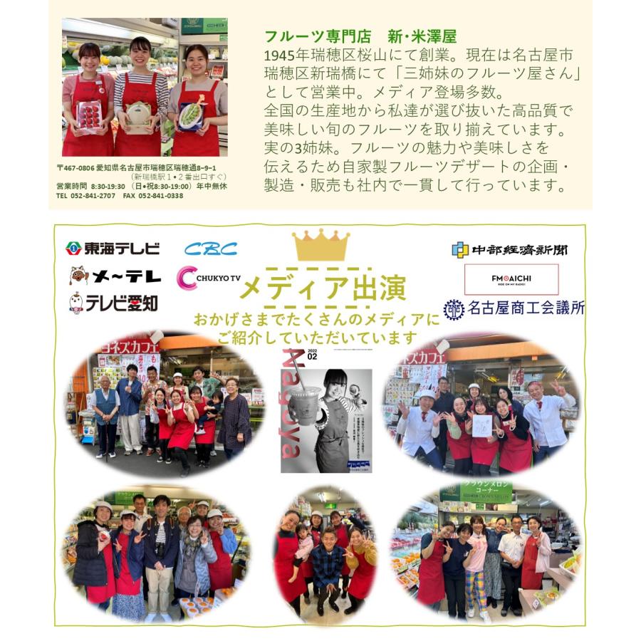 法事 お供え 果物 フルーツ かご盛り 四十九日 一周忌 三回忌 法要 籠盛り 命日 初盆 お盆 お彼岸 送料無料 あすつく対応 冷蔵便不可※サイズ規格外 |  | 11