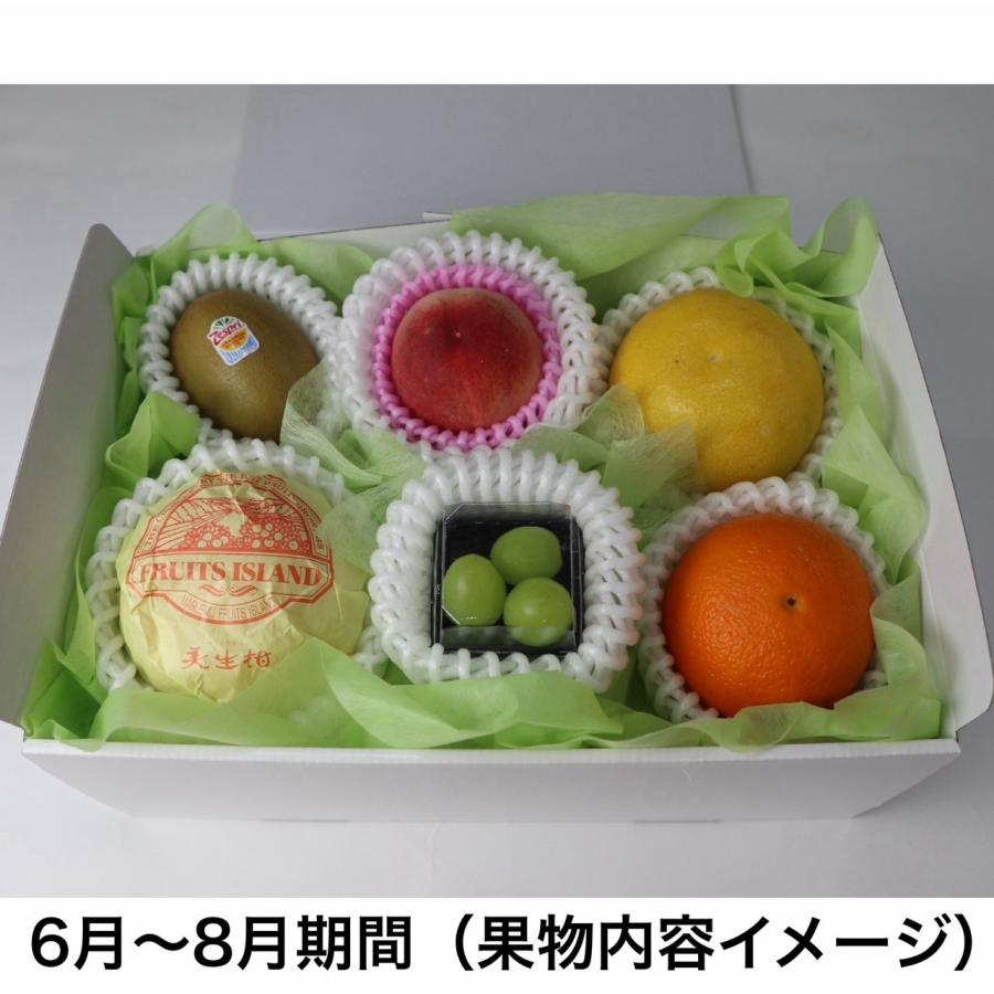 フルーツギフト 名古屋のフルーツ専門店新米澤屋厳選 果物厳選6種 果物