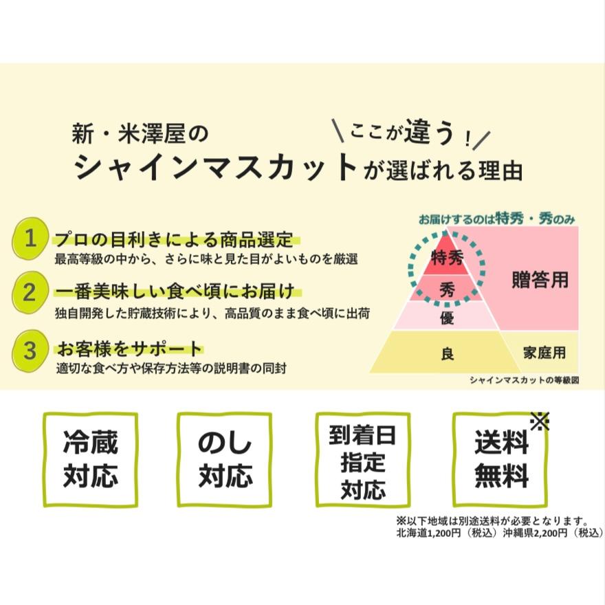 ギフト シャインマスカット 化粧箱 長野県産 果物 1房入り 500g前後 あすつく｜shinyonezawaya｜06