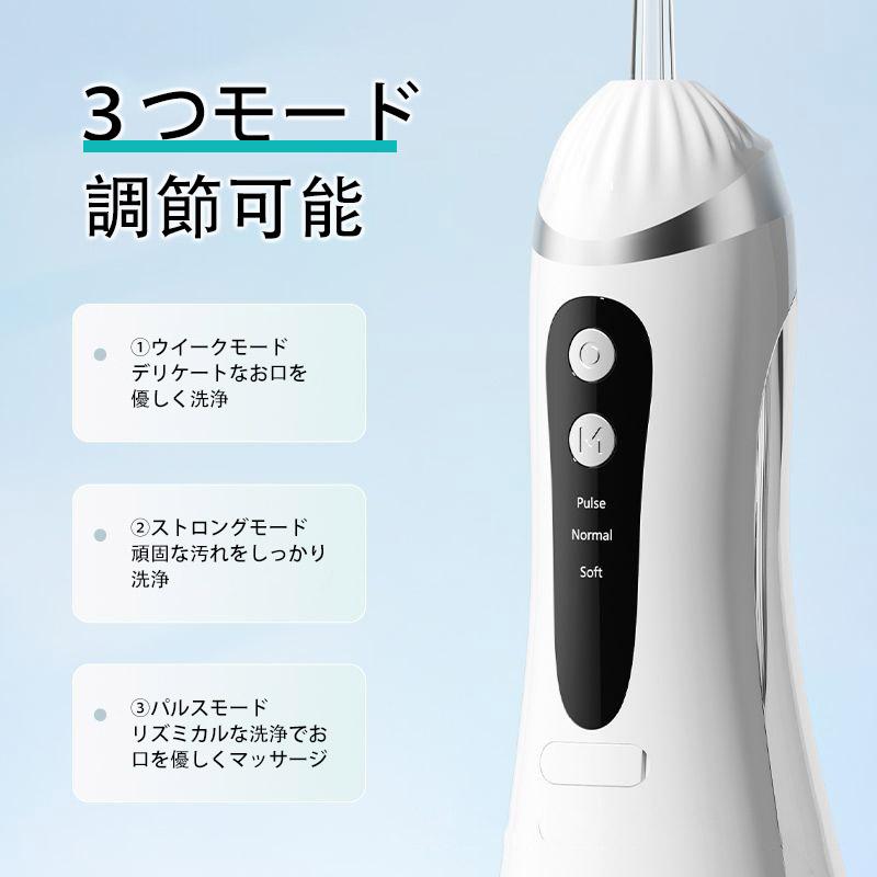 口腔洗浄器 4種類ノズル ジェットウォッシャー 口腔洗浄機 3つ