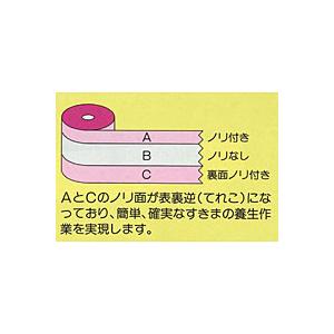 ニューてれこテープ Shinyuダイレクト 通販 Yahoo ショッピング
