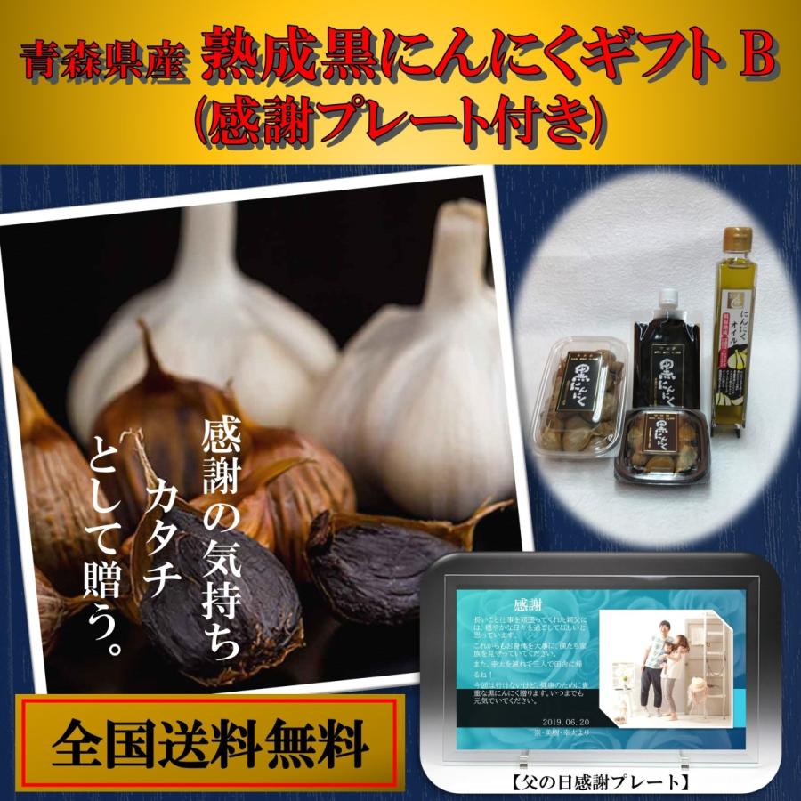メール便なら送料無料 熟成黒にんにくギフトb ギフト プレゼント お礼 人気 おすすめ 喜ぶ 喜ばれる 両親 祖父母 ランキング 健康食品 発酵食品 セット 送料無料 数量は多 Kamatcatering Ae Kamat Ae