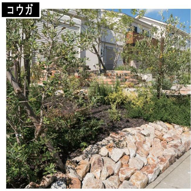 ワズロック コウガ(花崗岩) 20kg 6~8寸 天然石 ユニソン : 建築 ワズロック コウガ(花崗岩) 20kg 6~8寸 天然石 ユニソン : 建築