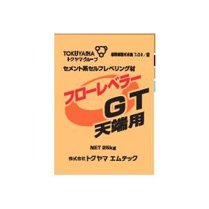レベラーセメント合計12袋 豊運 フラットレベラー 25kg×20袋／セット 速硬性レベリング材 【個人