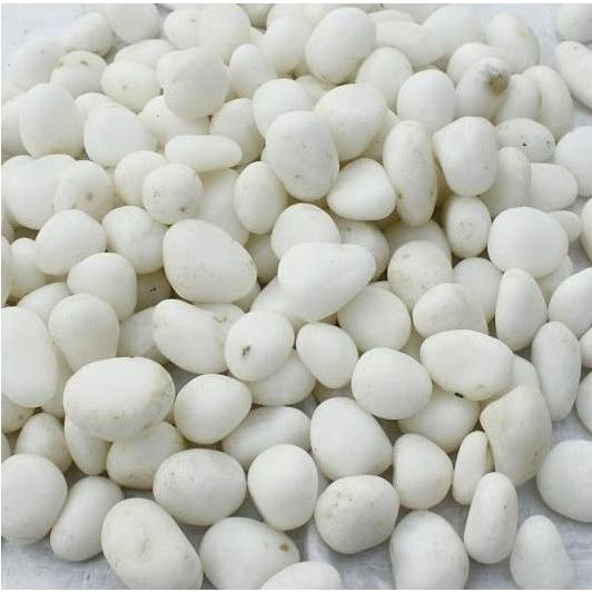 白那智石 白玉砂利白仙 20kg 1-2分 : 建築金物 SHOP - 通販 - Yahoo