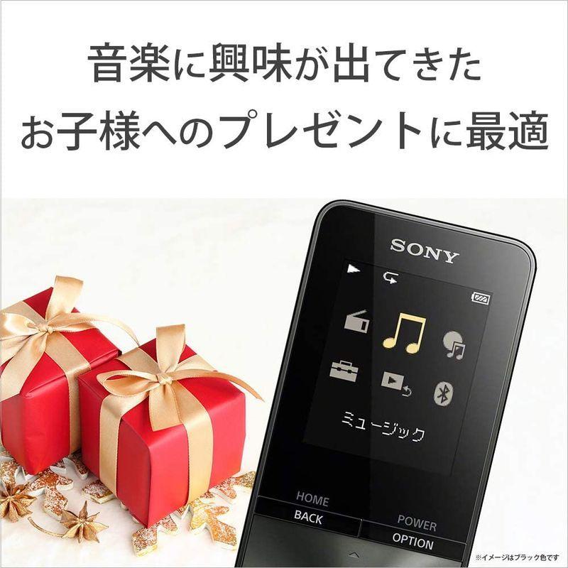 SALE／83%OFF】ソニー ウォークマン Sシリーズ NW-S313 4GB LC