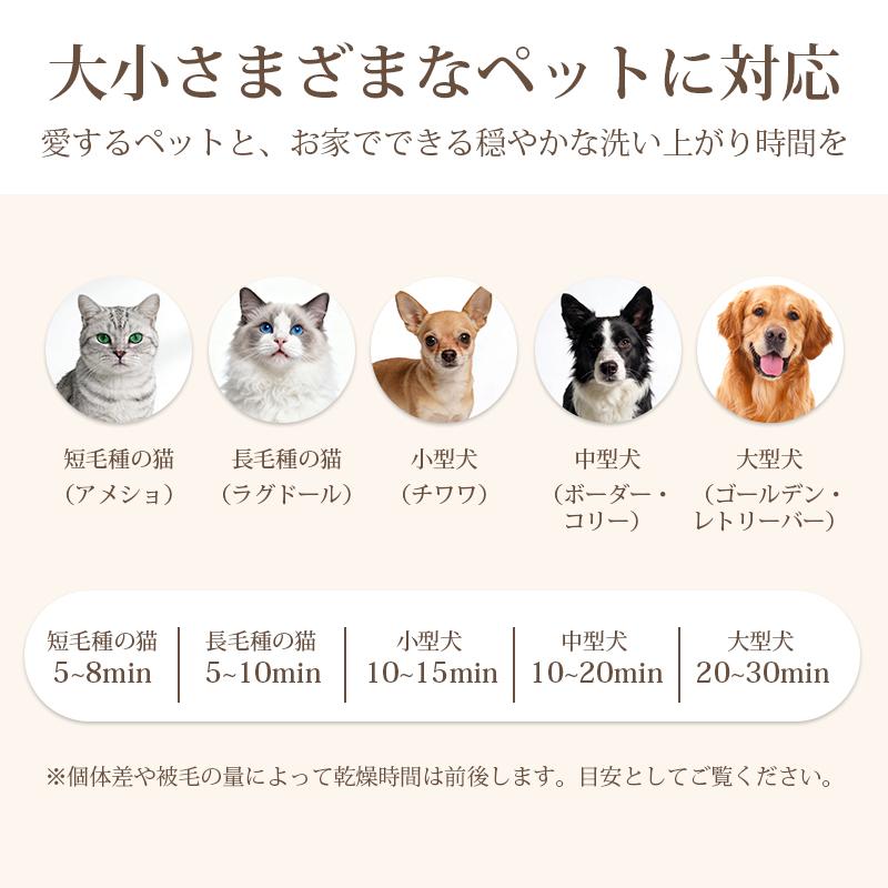 2026新作発売】ペットドライヤー Petaboo 犬用 猫【わずか520g！】大型
