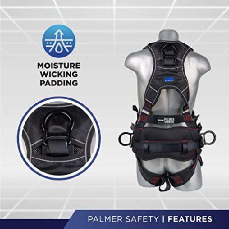 日本正規品取扱店 Palmer Safety Fall Protection Safety Harness， Padded Back Support， Quick-Connect Buckle， Grommet Legs， Aluminum Back＆Side D-Rings Jet Black - LG