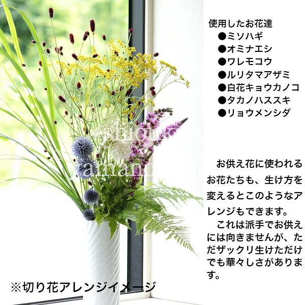 宿根草セット：夏に咲く切り向きのお花6種各1ポットセット 【純