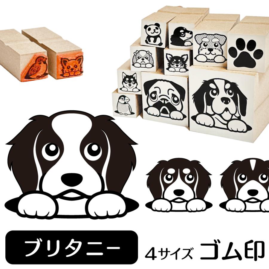 ブリタニースパニエル イラスト ゴム印 スタンプ ハンコ 印 16mm 犬 雑貨 グッズ かわいい おしゃれ 文具 手帳 スケジュール タグ｜shippotoseikatsu