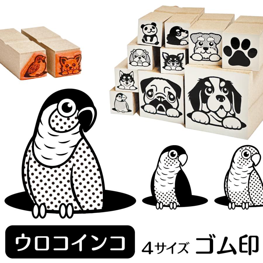 ウロコインコ イラスト ゴム印 角印 ハンコ スタンプ 16mm 雑貨 グッズ Ga 75 動物イラストはんこ しっぽと生活 通販 Yahoo ショッピング