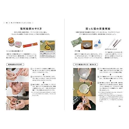 野良猫の拾い方【同梱A】 |  | 02