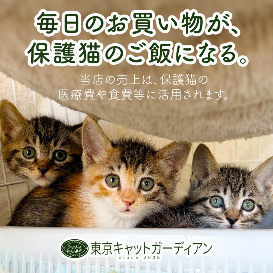 ポストカード 「金魚と猫」 : ShippoTV通販部 - 通販 - Yahoo!ショッピング