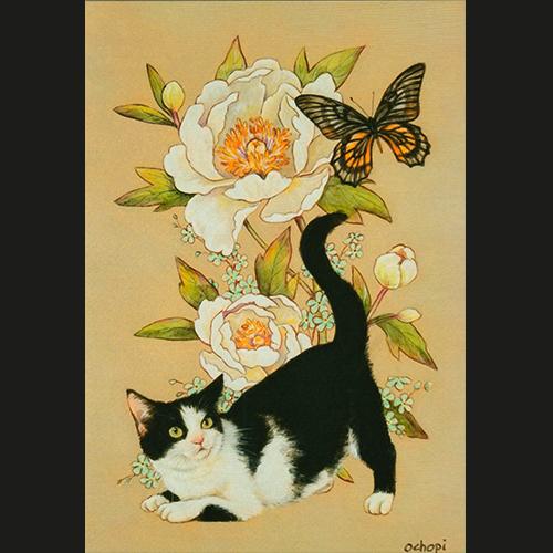 ポストカード 「白い牡丹とハチワレ猫」｜shippotv