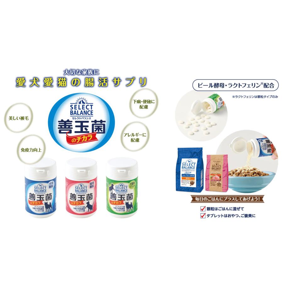 サプリ 免疫力 ３００ｇ 4個 セレクトバランス 善玉菌 のチカラ　猫 用（顆粒）乳酸菌 栄養 子猫 成猫 老猫 ササミ ビタミン【同梱A】shippotv_1