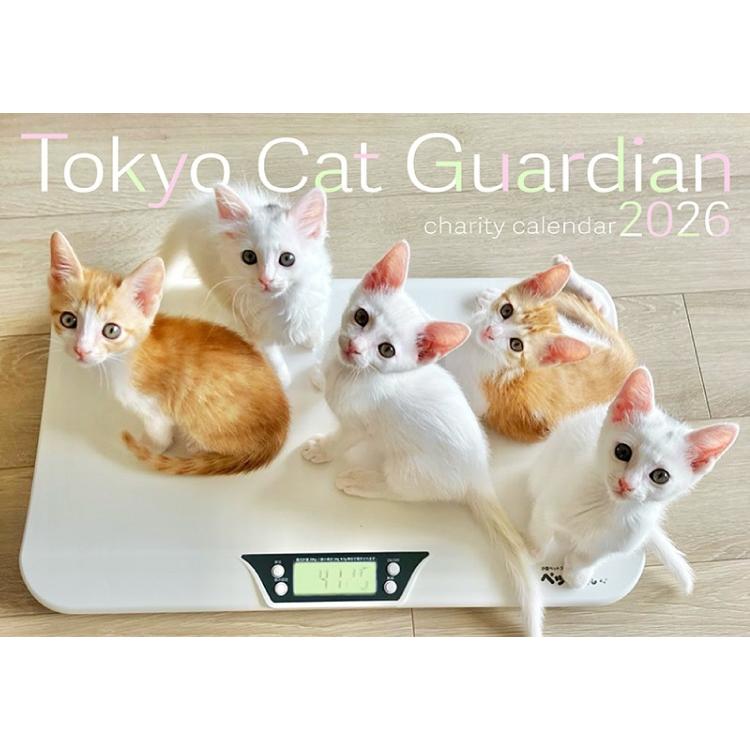 東京キャットガーディアン 2026カレンダー 猫カレンダー 見開きA3
