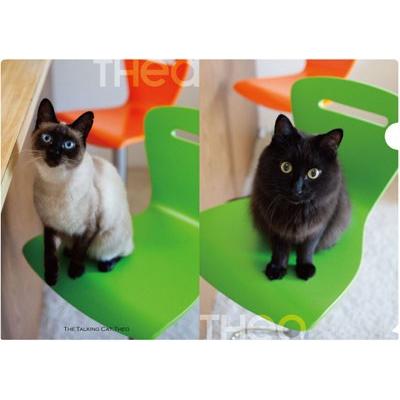 しゃべるねこ しおちゃん クリアファイル2枚組 第1弾 Theo Cf01 Shippotv通販部 通販 Yahoo ショッピング