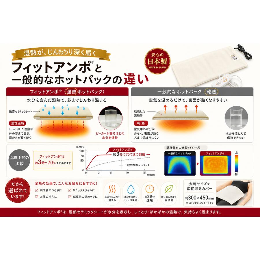 フィットアンポ FA-2 タイマー付きコントローラーセット 丸央産業 遠