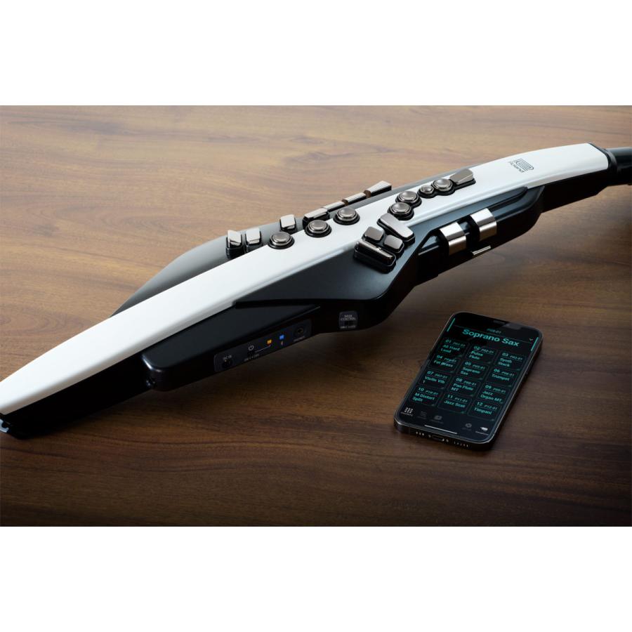 ローランド AE-20 エアロフォン Roland Aerophone【送料無料】｜shiraimusic｜12