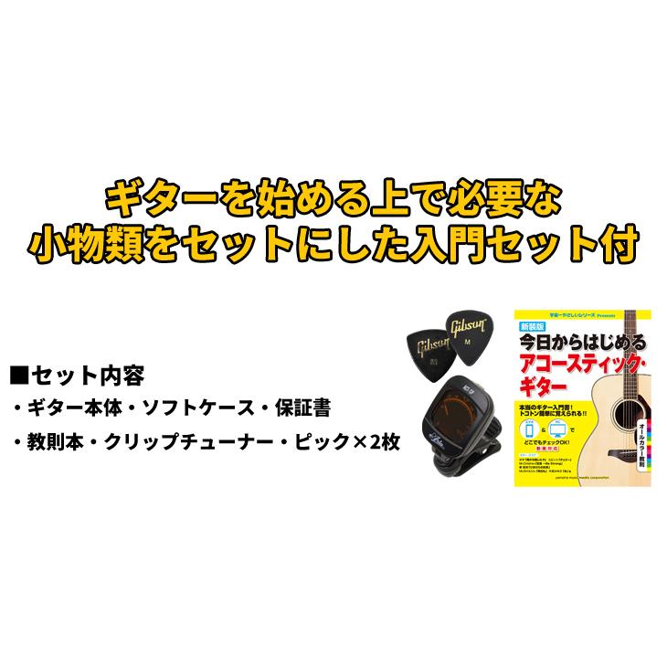 ARIA（アリア） 【入門セット付き】アリア アコースティックギター