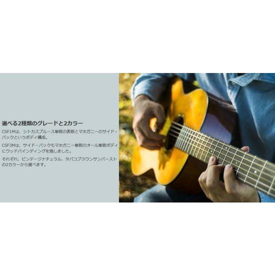 YAMAHA ヤマハ CSFシリーズ アコースティックギター CSF1M (TBL