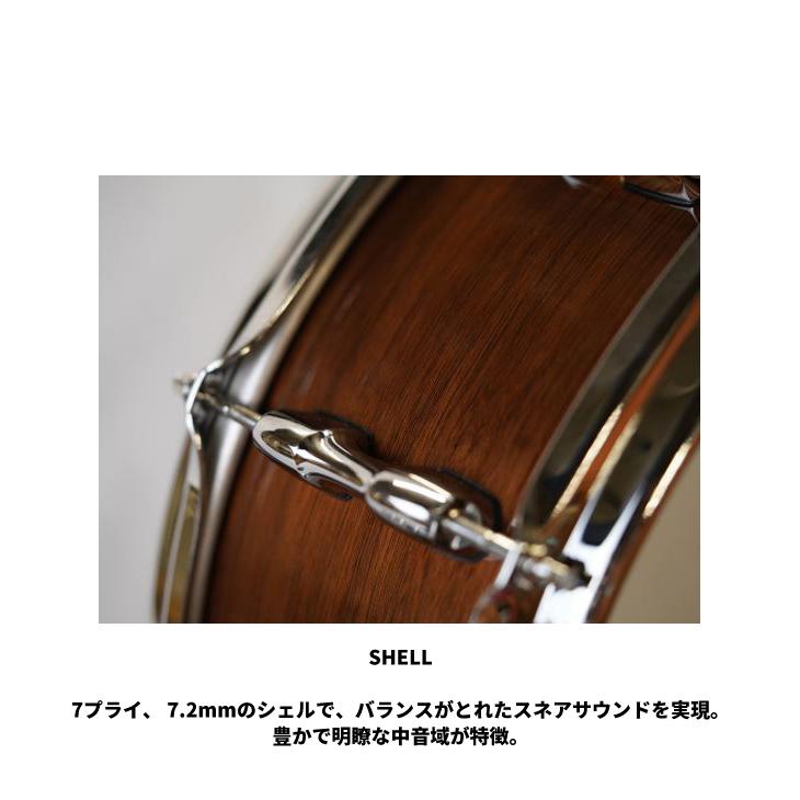 (サカエ) JAPAN CUSTOM スネアドラム Walnut 14"× 5.5" 【専用ソフトケース付属】【送料無料】 【SPECIAL】
