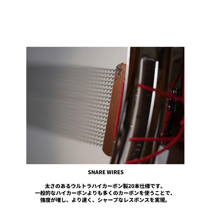 (サカエ) JAPAN CUSTOM スネアドラム Walnut 14"× 5.5" 【専用ソフトケース付属】【送料無料】 【SPECIAL】