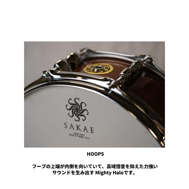 (サカエ) JAPAN CUSTOM スネアドラム Walnut 14"× 5.5" 【専用ソフトケース付属】【送料無料】 【SPECIAL】