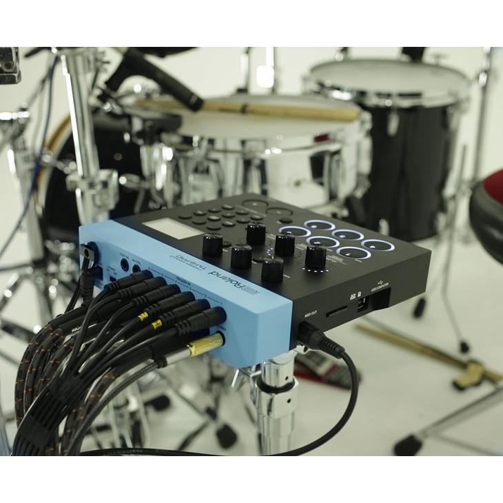 ローランド（Roland） 音源モジュール Roland TM-6 PRO【送料無料