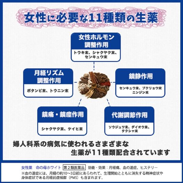 命の母ホワイト 180錠(15日分) 小林製薬 女性保健薬 婦人病 命の母ホワイト 180錠 定形外郵便 yg25