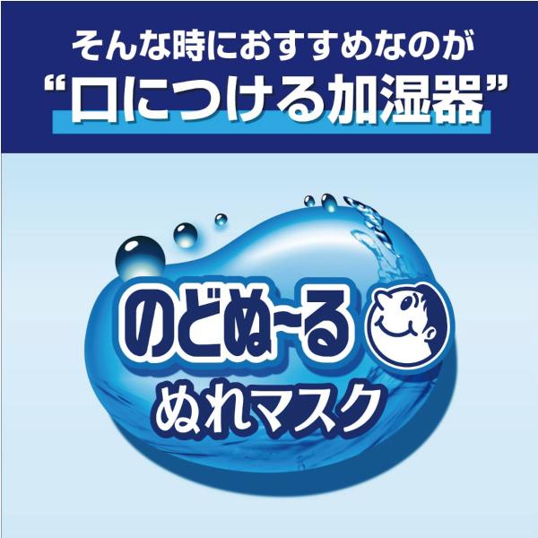 『2箱セット』乾燥 のど 加湿 のどぬ〜るぬれマスク 就寝用 プリーツタイプ 無香料 3セット入（ぬれフィルター＋マスク） 小林製薬 マスク 送料無料｜shiraishiyakuhin｜04