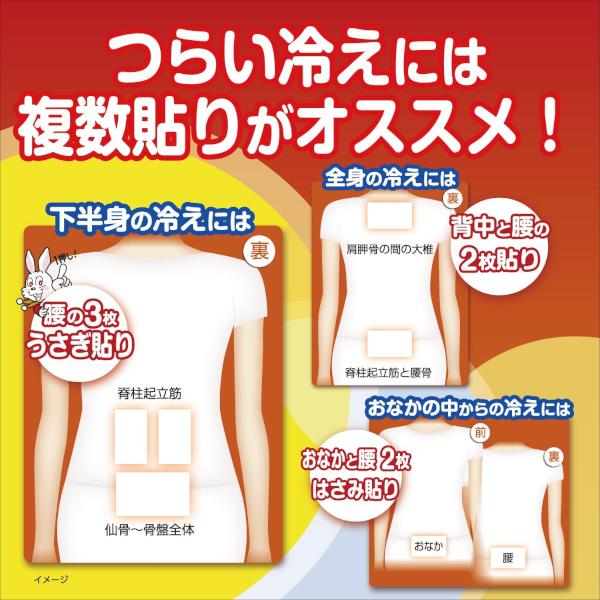 『5袋セット』貼る 温かい 使い捨て 小林製薬 桐灰カイロ はる 10個 送料無料｜shiraishiyakuhin｜02