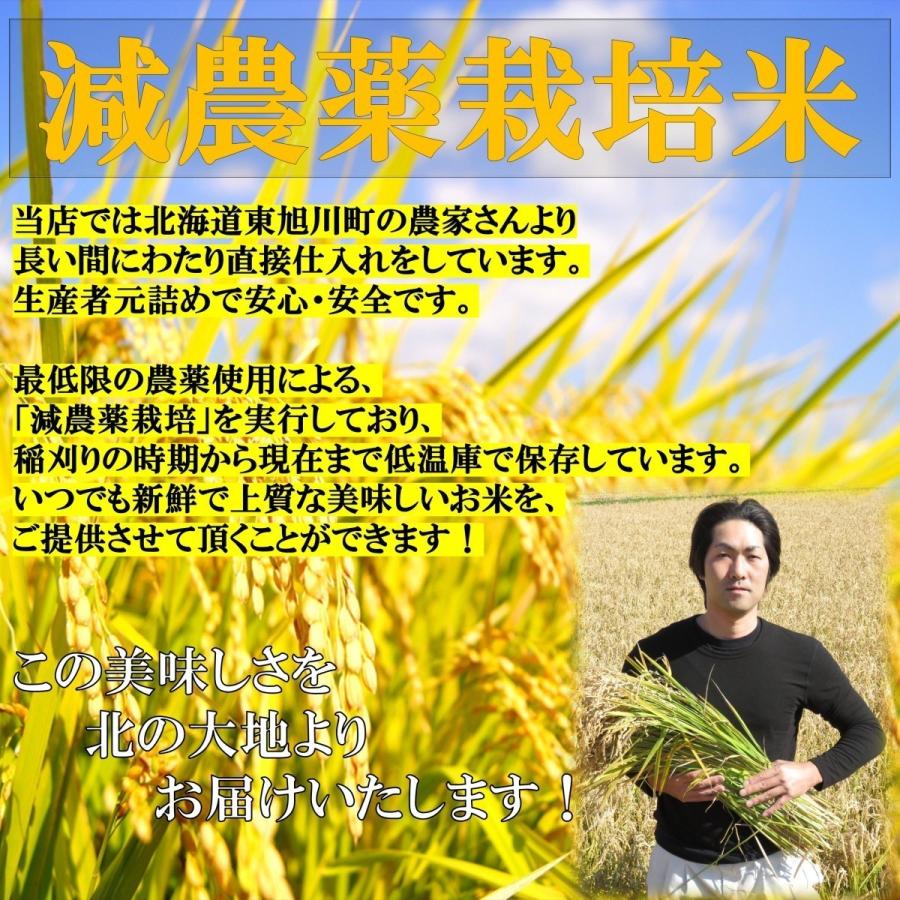 米 お米 5kg 新米 北海道産 ななつぼし 白米 低農薬米 令和5年産 東旭川産 特A 高橋さんのななつぼし｜shiretokokinki｜03