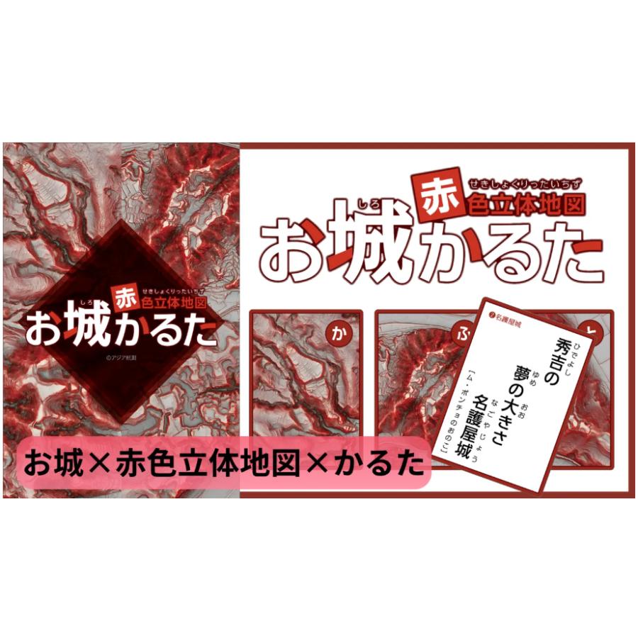 地形が主役！赤色立体地図お城かるた | 