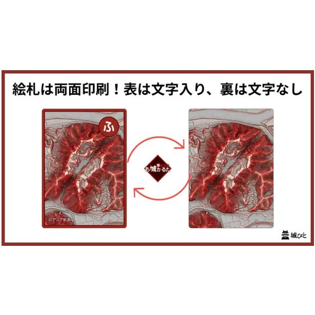 地形が主役！赤色立体地図お城かるた |  | 03