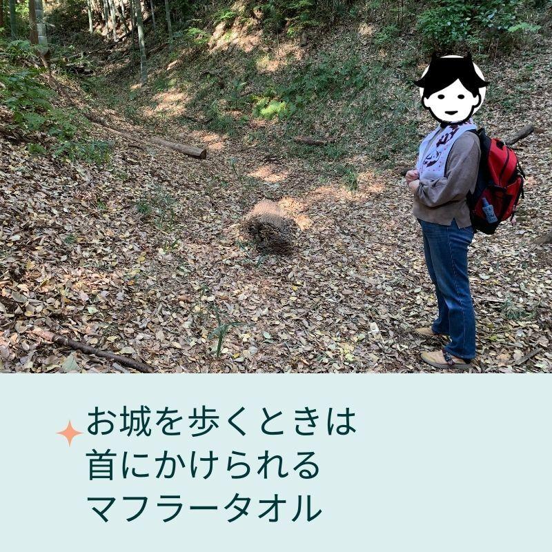 「登城しました！」今治マフラータオル |  | 01