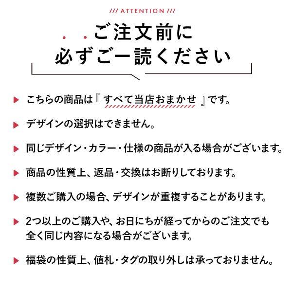 福袋 トリンプ 3P ブラジャー 3点セット インナー 下着 AG Triumphの画像