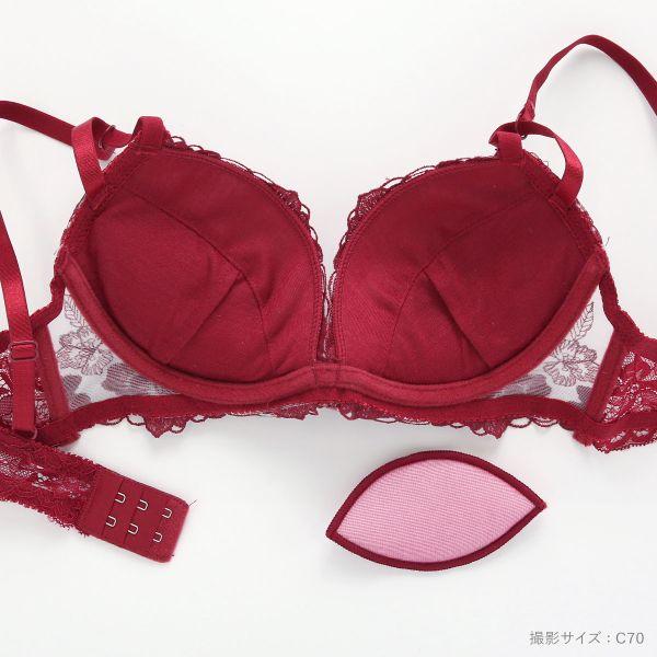 SHIROHATO（白鳩） 花柄刺繍レース ブラジャー ショーツ セット T