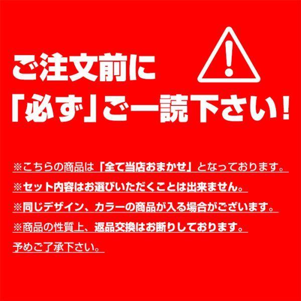 パリーゼ Palissee グラマーサイズ 単品ブラジャー 5本組 お得福袋 EF 大きいサイズ 5本セット [ 大きいサイズ アンダー90まで ]｜shirohato｜03