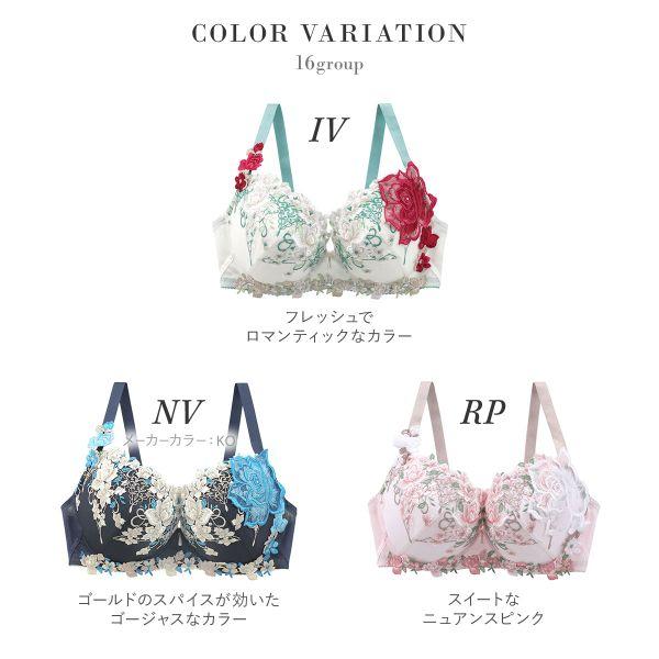 サルート（SALUTE） ワコール 16グループ 16G P-UP ブラジャー