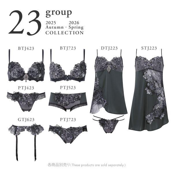 サルート（SALUTE） ワコール 23グループ 23G P-UP ブラジャー GHI