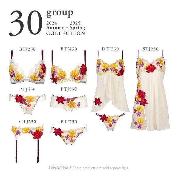 サルート ワコール Wacoal Salute 30G P-UP ブラジャー G サルート ワコール Wacoal Salute 30G P-UP ブラジャー G
