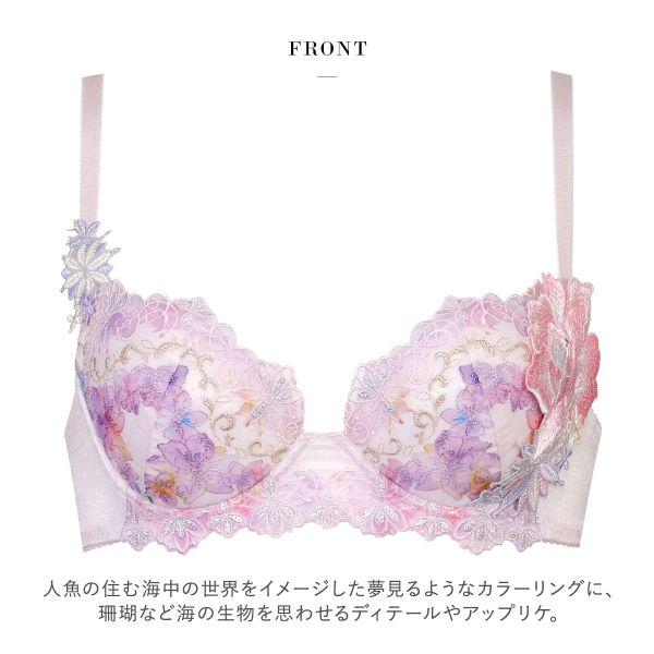 サルート（SALUTE） ブラジャー ワコール 50グループ 50G P-UP BC