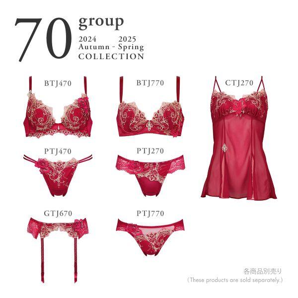 サルート ワコール 70グループ 70G VIVA LINE ブラジャー G サルート ワコール 70グループ 70G VIVA LINE ブラジャー G