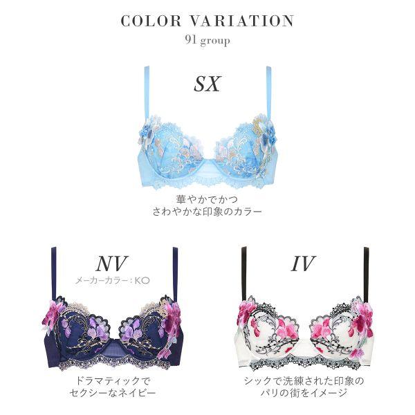 サルート ワコール Wacoal Salute 23AW先行 91G BTJ491 P-UP サルート ワコール Wacoal Salute 23AW先行 91G BTJ491 P-UP
